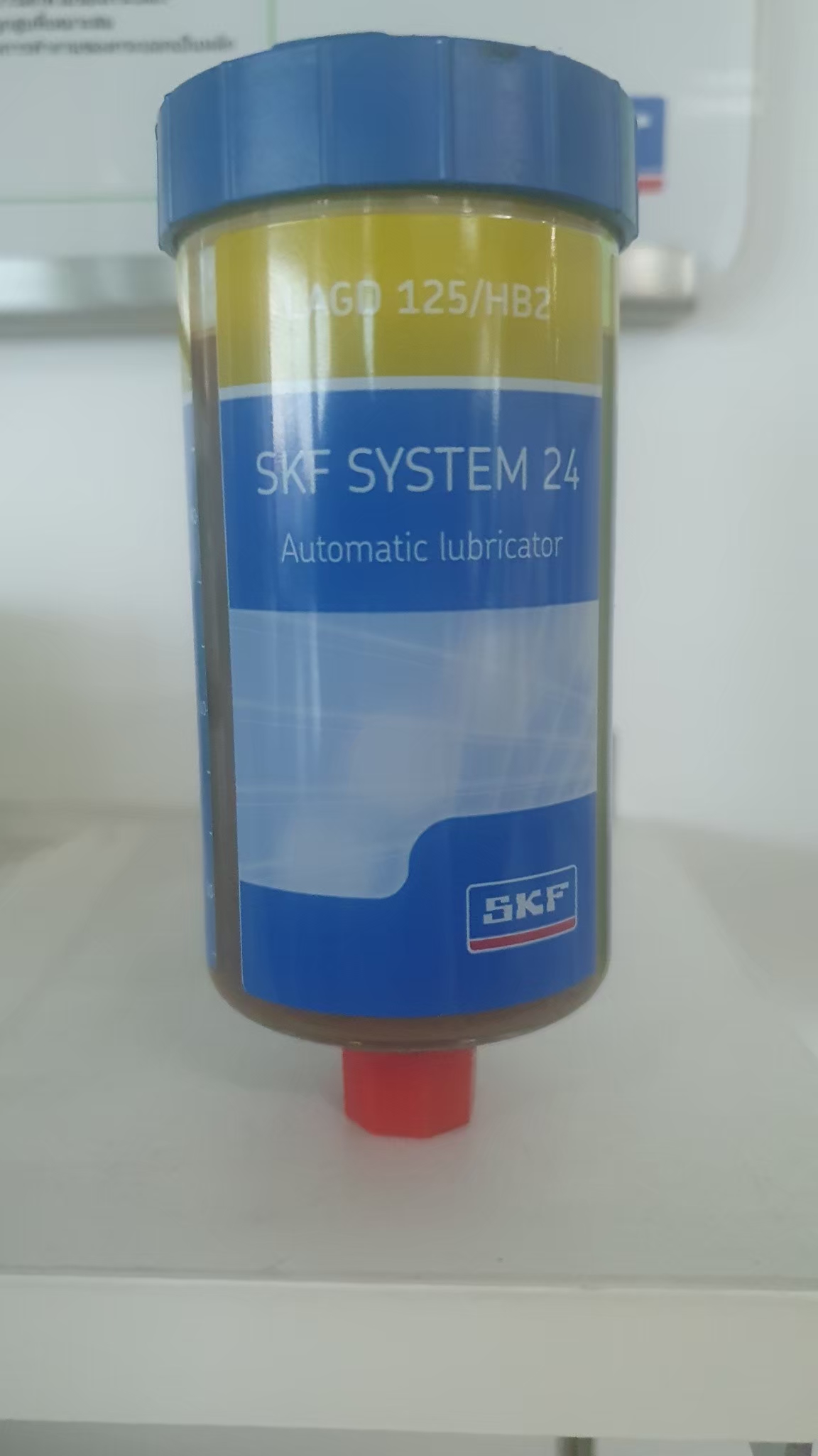 SKF Photo 163